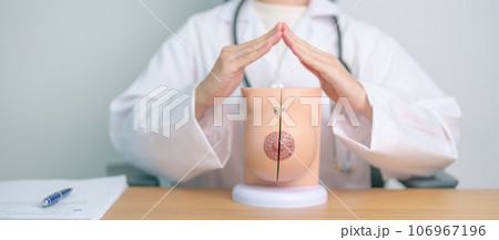 Doctor hand cover Breast Anatomy model. Breast Augmentation Surgery, October Breast Cancer Awareness month, implant, Diagnosis, Beauty woman enlargement and medical education concept 106967196