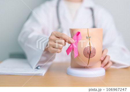 Pink October Breast Cancer Awareness month, doctor woman with pink Ribbon and Breast Anatomy model. National cancer survivors month, health diagnosis, Mother and World cancer day concept 106967247