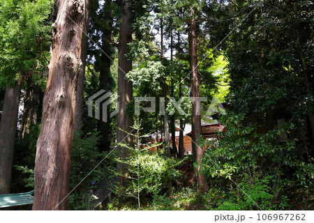 須山浅間神社の風景 須山浅間神社の風景 106967262
