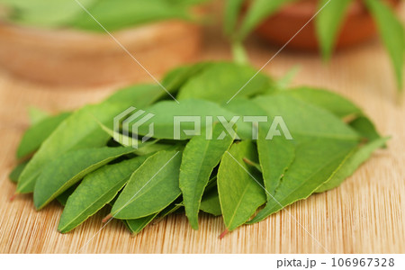 Curry leaves 106967328