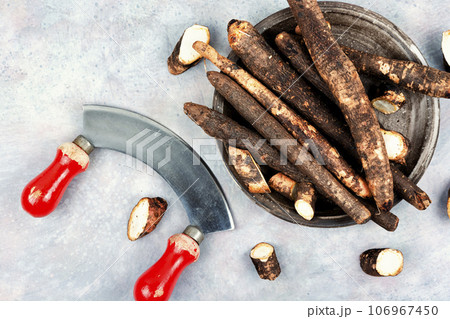 Salsify in folk medicine, salsify roots. Salsify in folk medicine, salsify roots. 106967450