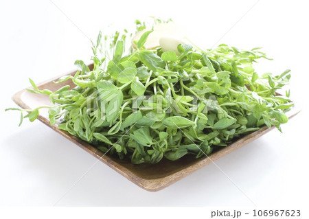 豆苗 106967623