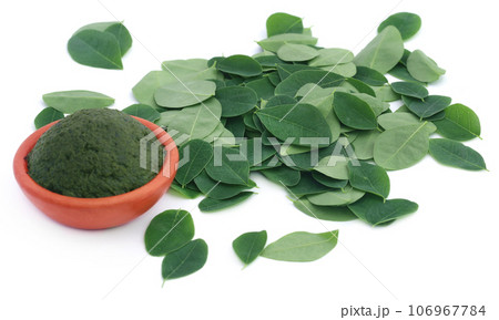 Edible moringa leaves with ground paste Edible moringa leaves with ground paste 106967784