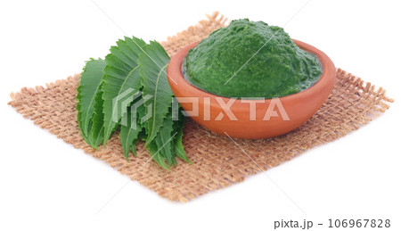 Medicinal neem leaves with ground paste 106967828