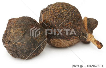 Soapnuts or Soapberries Soapnuts or Soapberries 106967891