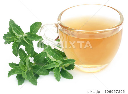 Herbal tea in a cup with stevia leaves 106967896