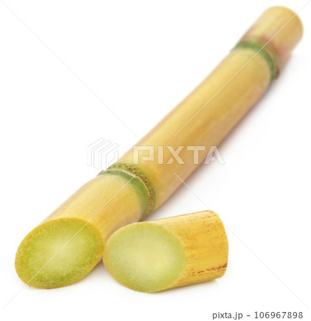 Piece of sugarcane 106967898