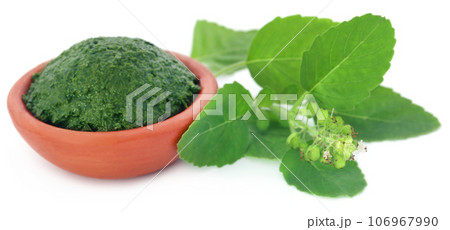 Medicinal holy basil with ground paste 106967990