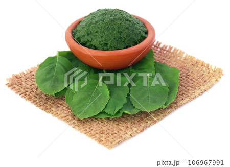 Medicinal holy basil with ground paste 106967991