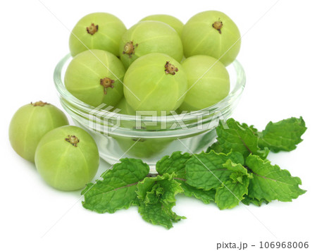 Amla fruits with mint leaves 106968006