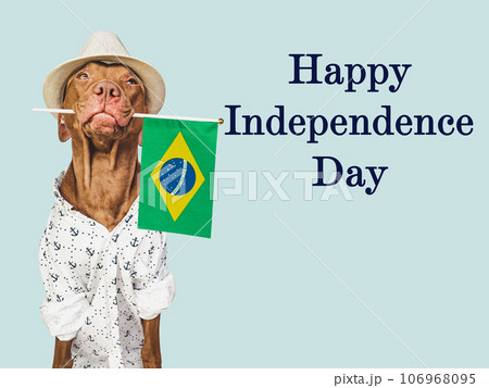 Happy Independence Day. Cute dog and Brazilian Flag 106968095