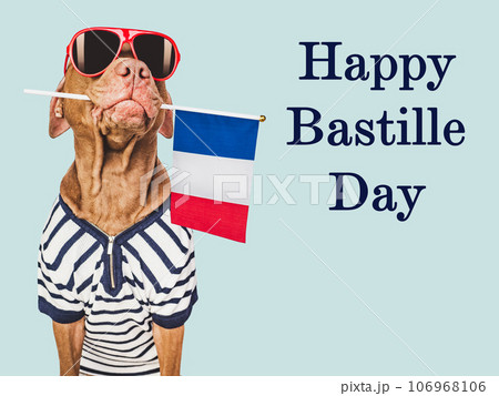 Happy Bastille Day. Lovable dog and French Flag Happy Bastille Day. Lovable dog and French Flag 106968106