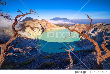 Deadwood Leafless Tree with Turquoise Water Lake,Beautiful nature Landscape mountain and green lake at Kawah Ijen volcano,East Java, Indonesia Deadwood Leafless Tree with Turquoise Water Lake,Beautiful nature Landscape mountain and green lake at Kawah Ijen volcano,East Java, Indonesia 106968307