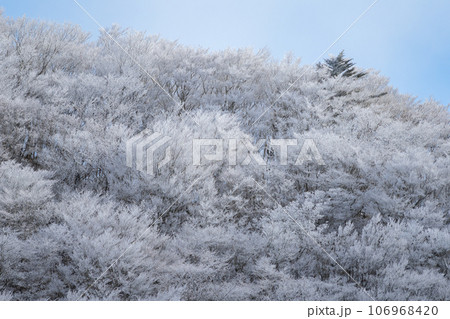 冬の景色　霧氷 106968420