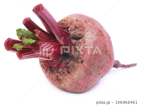 Fresh Beet 106968461