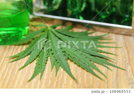 Cannabis leaves in laboratory Cannabis leaves in laboratory 106968553