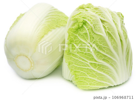 Chinese cabbage Chinese cabbage 106968711