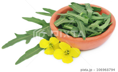 Fresh arugula or rucola leaves with flowers 106968794