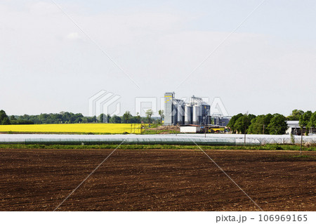Field of rapeseed flowers, plant for cleaning and storage of agricultural products, flour, cereals and grains. 106969165