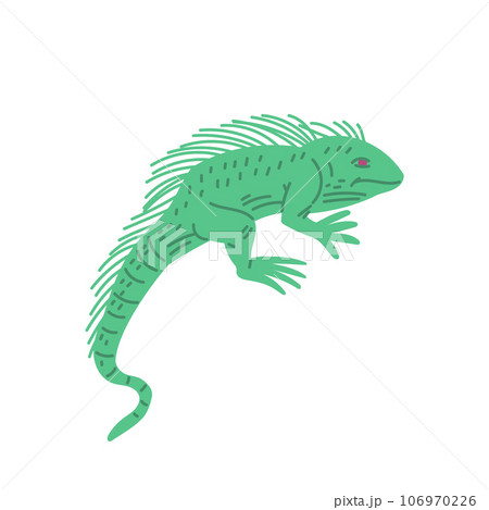 Green guana, hand drawn lizard character, side view isolated, childish flat pet reptile animal, exotic crawling mammal 106970226