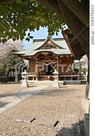 川口散歩：十二所神社　川口市南鳩ヶ谷 106970812