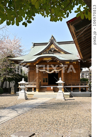 川口散歩：十二所神社　川口市南鳩ヶ谷 106970813