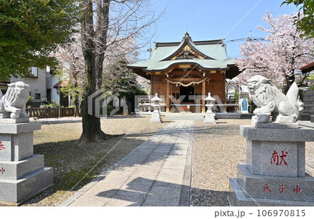 川口散歩：十二所神社　川口市南鳩ヶ谷 106970815