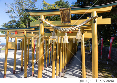 ほしいも神社　茨城県ひたちなか市 106970898