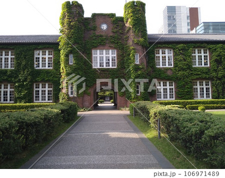 立教大学 106971489