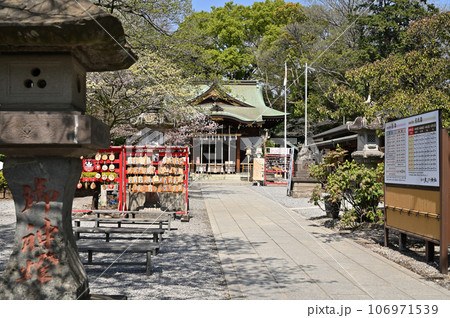川口散歩：青木氷川神社  川口市青木 106971539