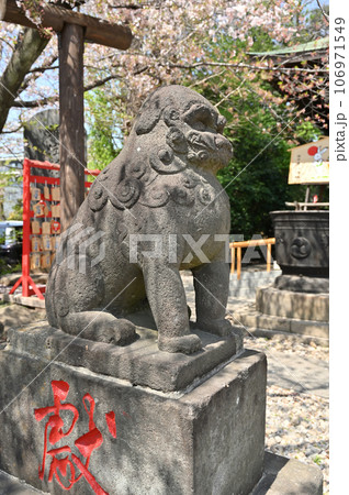 川口散歩:青木氷川神社 川口市青木 川口散歩:青木氷川神社 川口市青木 106971549