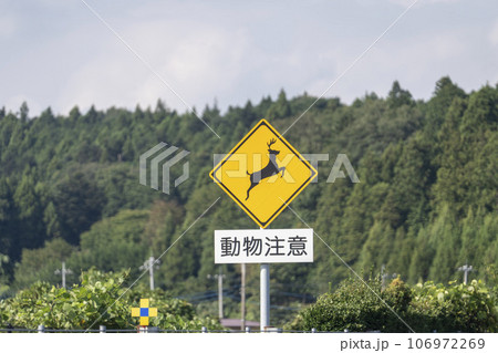 動物注意標識 鹿 動物注意標識 鹿 106972269