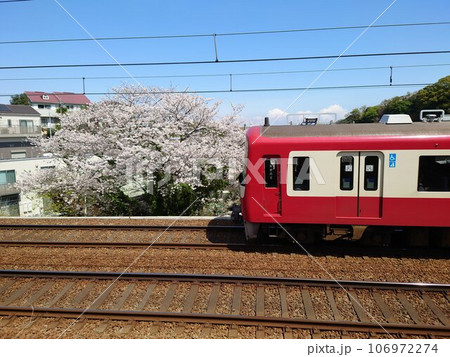 桜と京急線 桜と京急線 106972274