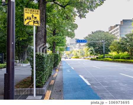 国会通りだけで見られる標識 駐車車両を避ける自転車への注意喚起「側方通過注意」 国会通りだけで見られる標識 駐車車両を避ける自転車への注意喚起「側方通過注意」 106973695