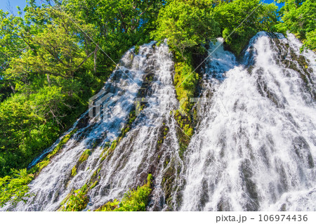 （北海道）ウトロのオシンコシンの滝 106974436