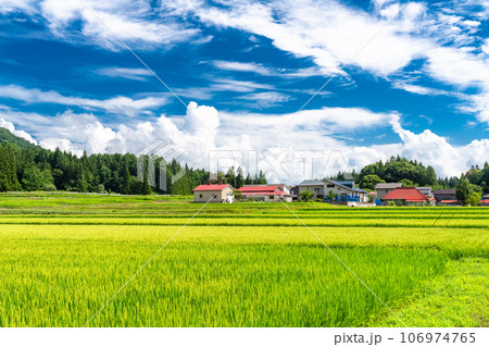 《福島県》田舎の風景・夏の猪苗代 106974765
