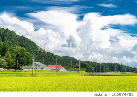 《福島県》田舎の風景・夏の猪苗代 106974783