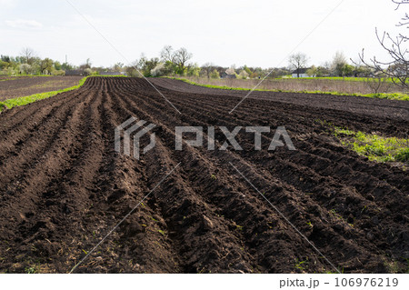 Tractor plowed field on black soil in open countryside, soil for growing delicious vegetables. Agriculture concept. Tractor plowed field on black soil in open countryside, soil for growing delicious vegetables. Agriculture concept. 106976219