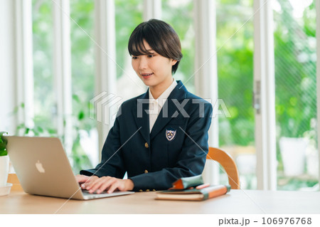 パソコンで自習をする女子高生 パソコンで自習をする女子高生 106976768