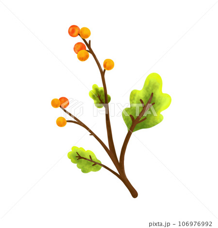 Coloring flower. Coloring flower. 106976992
