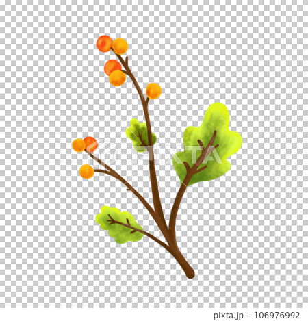Coloring flower. Coloring flower. 106976992