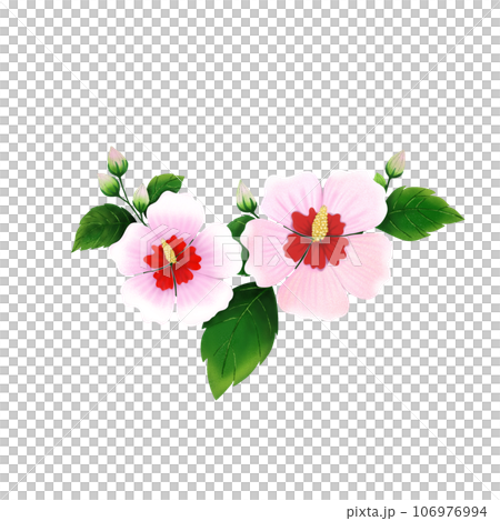 Coloring flower. Coloring flower. 106976994