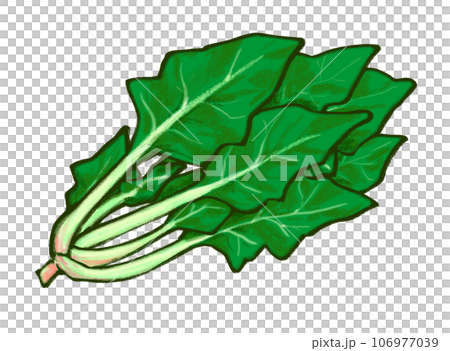 ほうれん草のイラスト ほうれん草のイラスト 106977039
