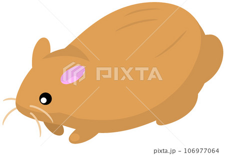 サドノウサギ サドノウサギ 106977064