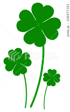 Plants and leaf. Plants and leaf. 106977165