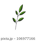 Plants and leaf. 106977166