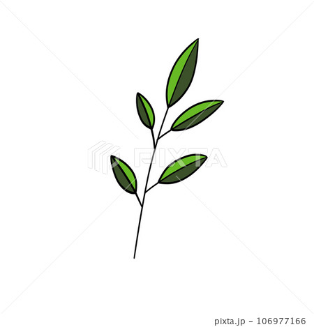 Plants and leaf. Plants and leaf. 106977166