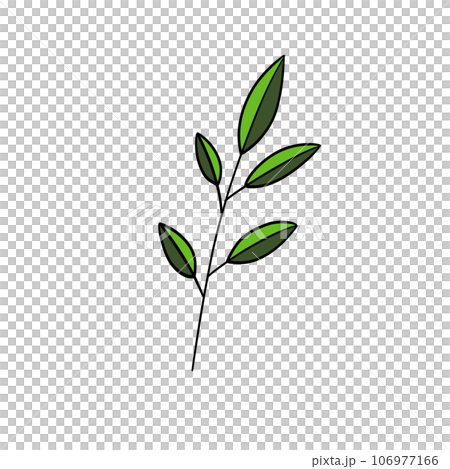 Plants and leaf. Plants and leaf. 106977166