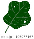 Plants and leaf. 106977167