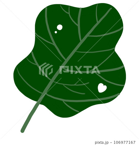 Plants and leaf. Plants and leaf. 106977167